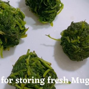 新鮮艾草保存。美善品 I Method for storing fresh Mugwort。Thermomix