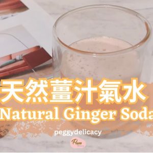 🌱🫚薑汁汽水 Ginger Enzyme Soda｜天然氣泡❌無添加❌抗發炎，天然發酵，養生，天然氣泡飲你也能做！｜Thermomix