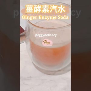 🌱🫚薑酵素汽水Ginger Enzyme Soda｜天然氣泡❌無添加❌抗發炎，天然發酵，養生，天然氣泡飲你也能做！｜Thermomix